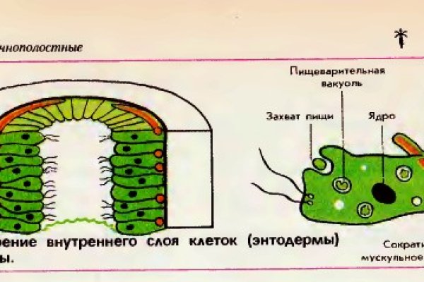 Mega ссылка на сайт рабочая