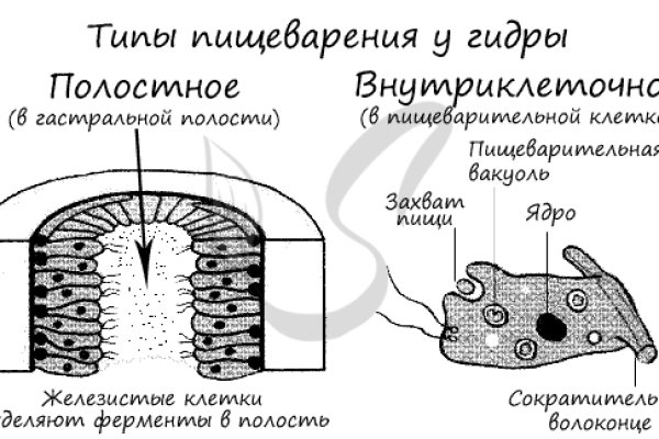 Мега интернет магазин