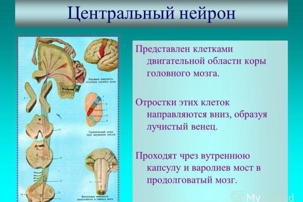 Актуальные ссылки на кракен