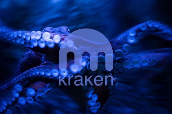 Ссылка на kraken в тор браузер